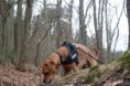 Frauchen keine Fotos mehr, will schnüffeln gehen 